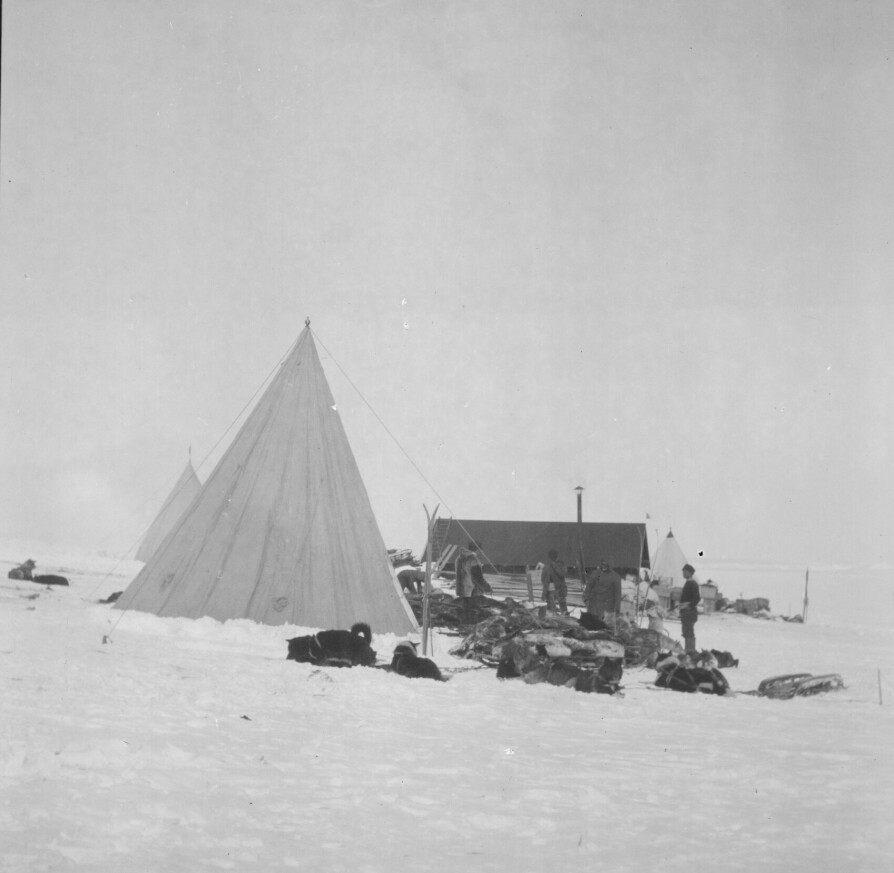 <b>I CARSTENS FOTSPOR:</b> Hvalbukta kom i begivenhetens sentrum noen år etter at Borchgrevink hadde vært der. I 1911 etablerte Roald Amundsen overvintringsbasen Framheim i Hvalbukta. Basen ble Amundsens utgangspunkt for ekspedisjonen som nådde Sydpolen 14. desember 1911, som den første i verdenshistorien.