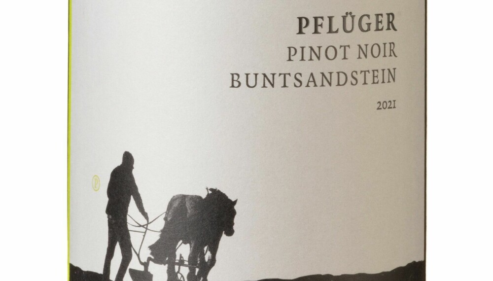 GODT KJØP: Pflüger Buntsandstein Pinot Noir 2021.