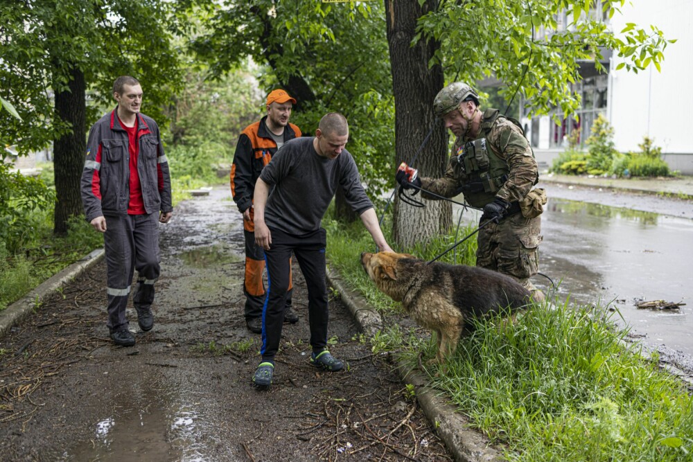 <b>IKKE ET STED FOR HUNDER:</b> Byen Adviivka er nesten omringet av russiske tropper. På innsiden biter noen mennesker og noen hunder seg fast. Frederik Guttormsen har lovet å hjelpe i hvert fall hunden Rex.