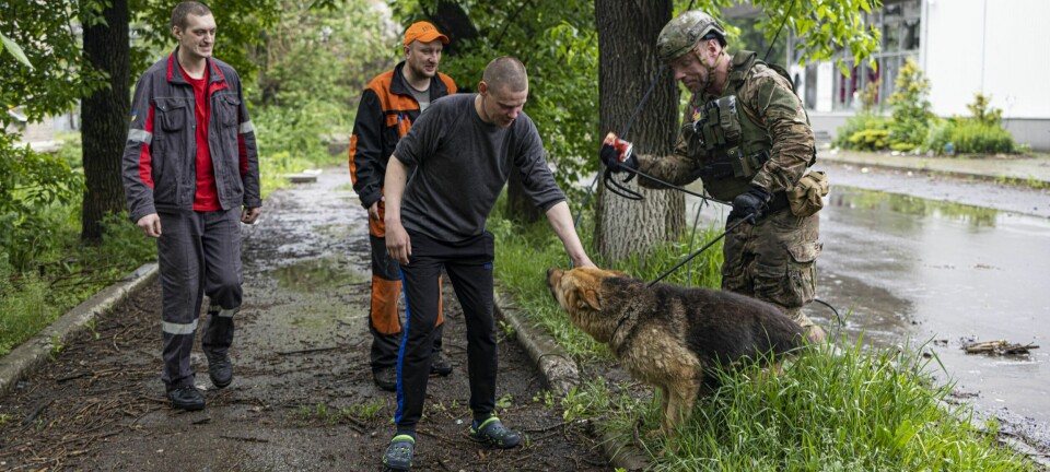 Dyrene var alene igjen i krigen - Frederik (39) fra Oslo dro til Ukraina for å hjelpe dem