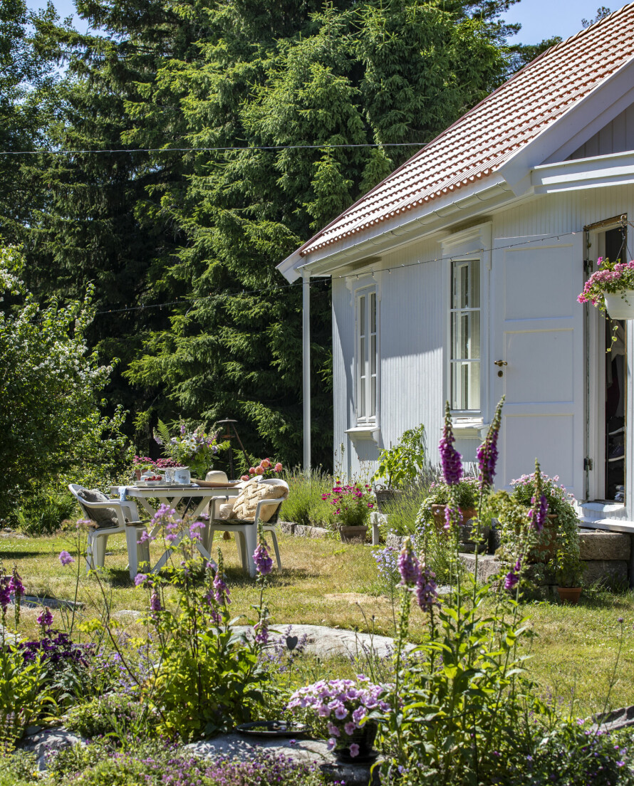 HAGE: Sommeren er her! På bordet i hagen er det dekket opp med norske jordbær, fløte, sukker og en raus markblomstbukett.