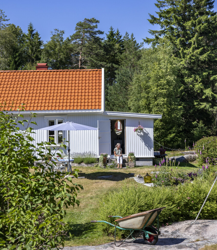 SKOG: Elin og hunden India tar seg fem minutter på trappa. Det er en meget varm dag, og det lufter ikke mye her i skogholtet.
