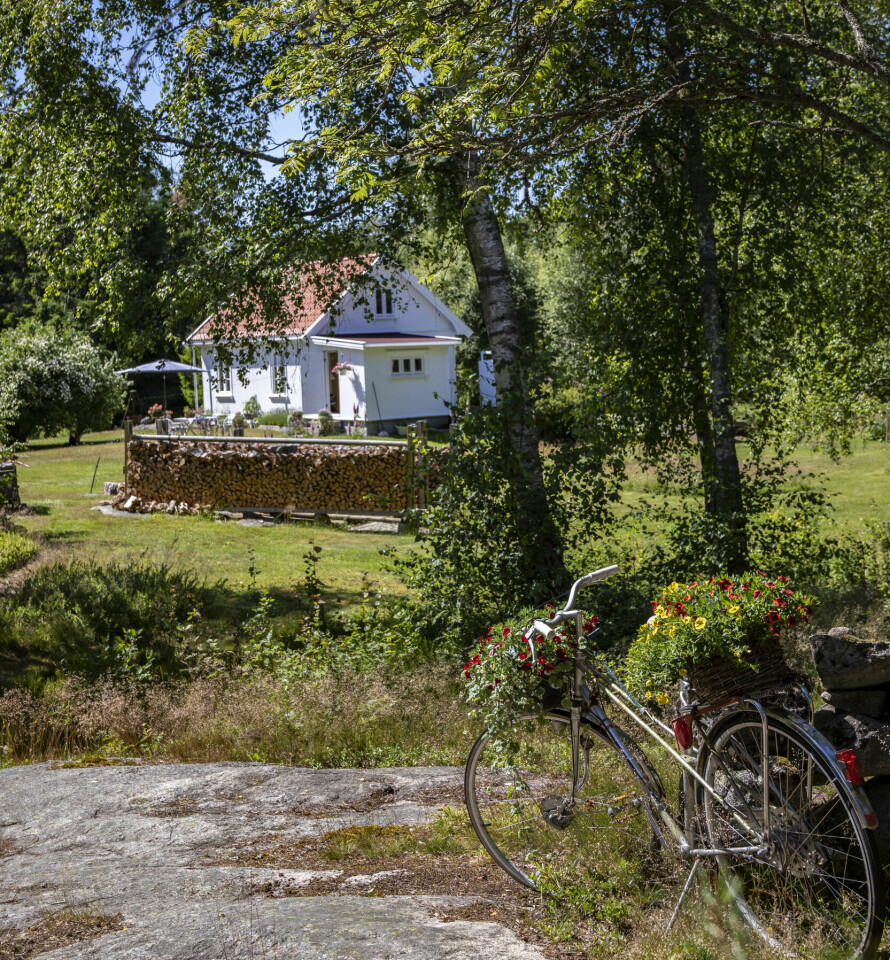 HAGE: En imponerende vedstabel skaper en fin avskjerming i den romslige hagen.