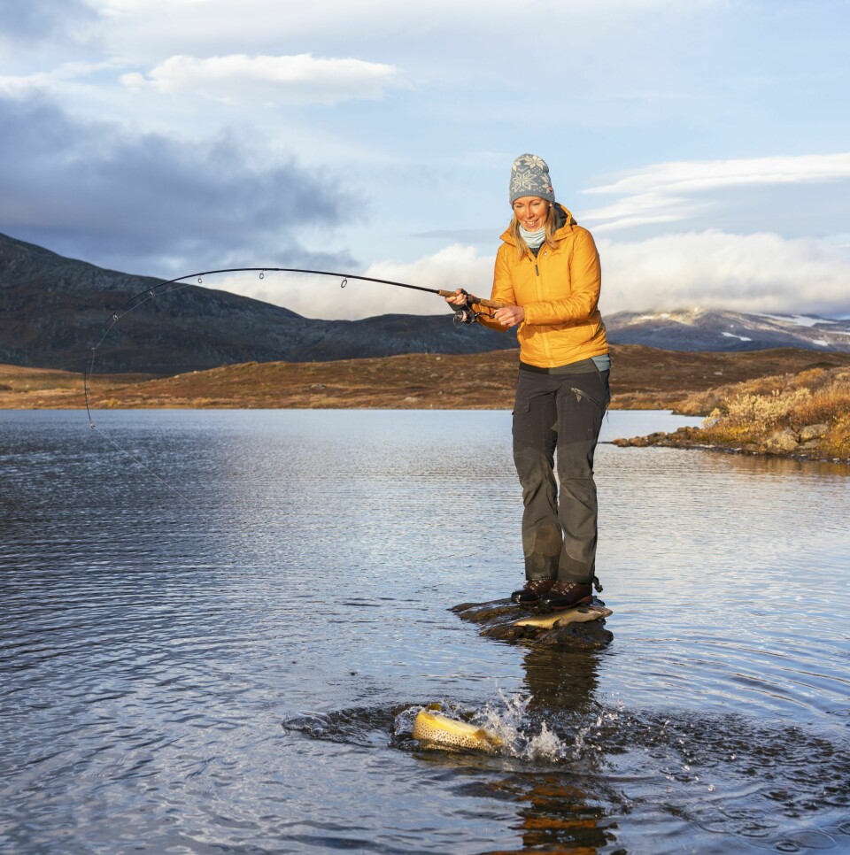 HØSTFISKE PÅ SALTFJELLET: Ørretfiske høyt til fjells er ofte svært bra i august og september, spesielt nord i landet.