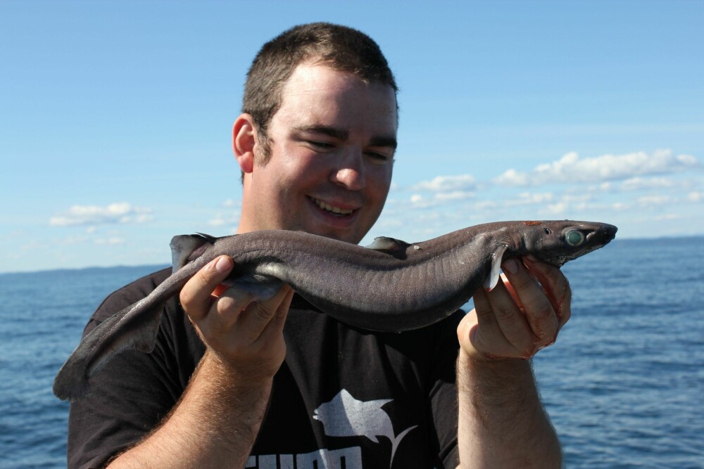 <b>SVARTHÅ:</b> Artikkelfor­fatteren med norgesrekorden på svarthå fra Langesundbukta. Fisken ble tatt på 190 meters dyp på makrell og veide 960 gram.