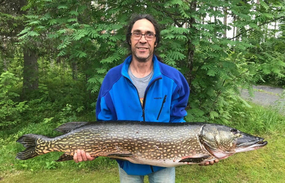 <b>DEN ALLER STØRSTE GJEDDA:</b> Willy Hvorup med rekordgjedda. Fisken ble tatt i Grøtlitjernet i Nes i 2017, og veide 19,54 kilo. Fisken var 138 centimeter lang.