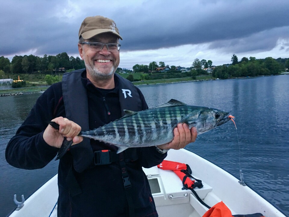 STRIPET PELAMIDE: Terje Noren med den største pelamiden registrert, som veide 2,885 kilo. Fisken ble tatt på flue i Oslofjorden.