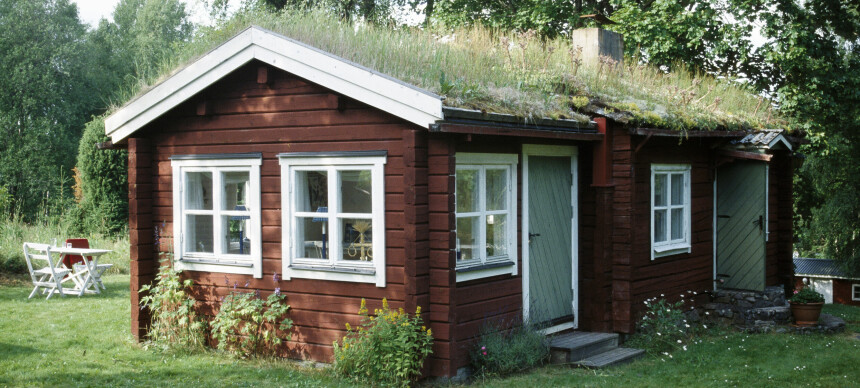 Svigermor vil gi hytta til barnebarna. Kan hun gjøre dette?