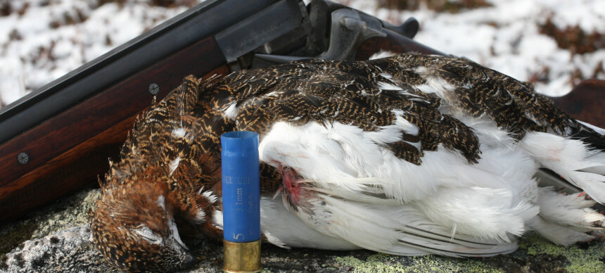 Advarer jegere etter nye jaktregler: – Blir anmeldt