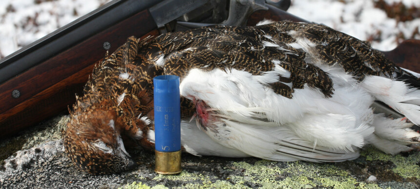 Advarer jegere etter nye jaktregler: – Blir anmeldt