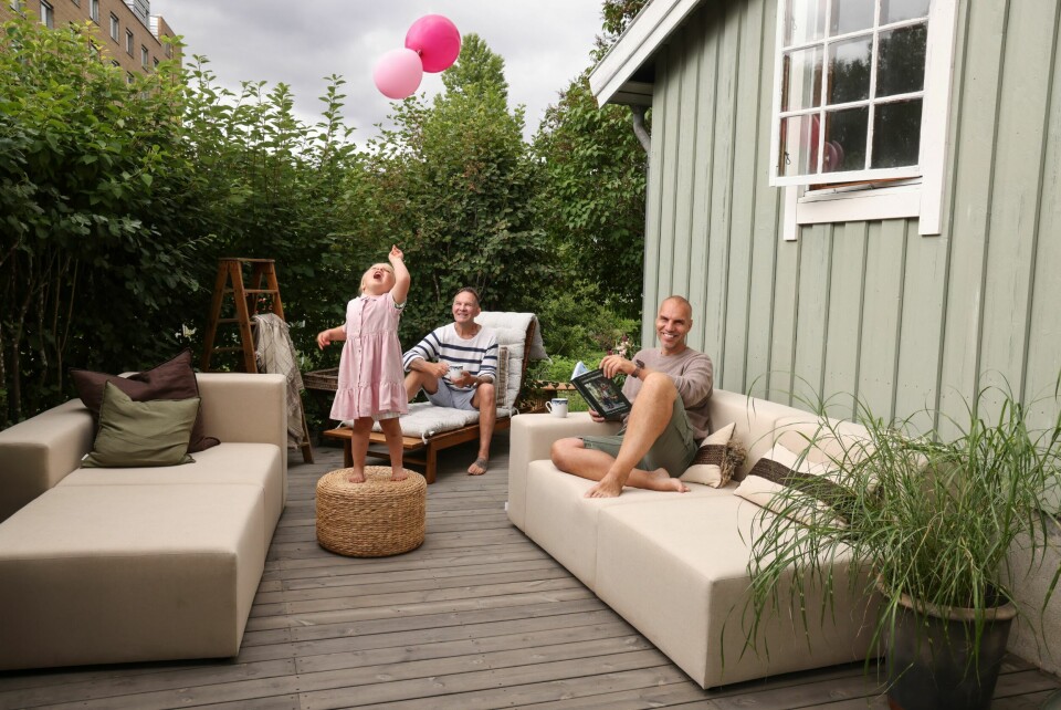 HAGEKOLONI: Knut, Kjartan og Olivia trives godt i hagekolonien.