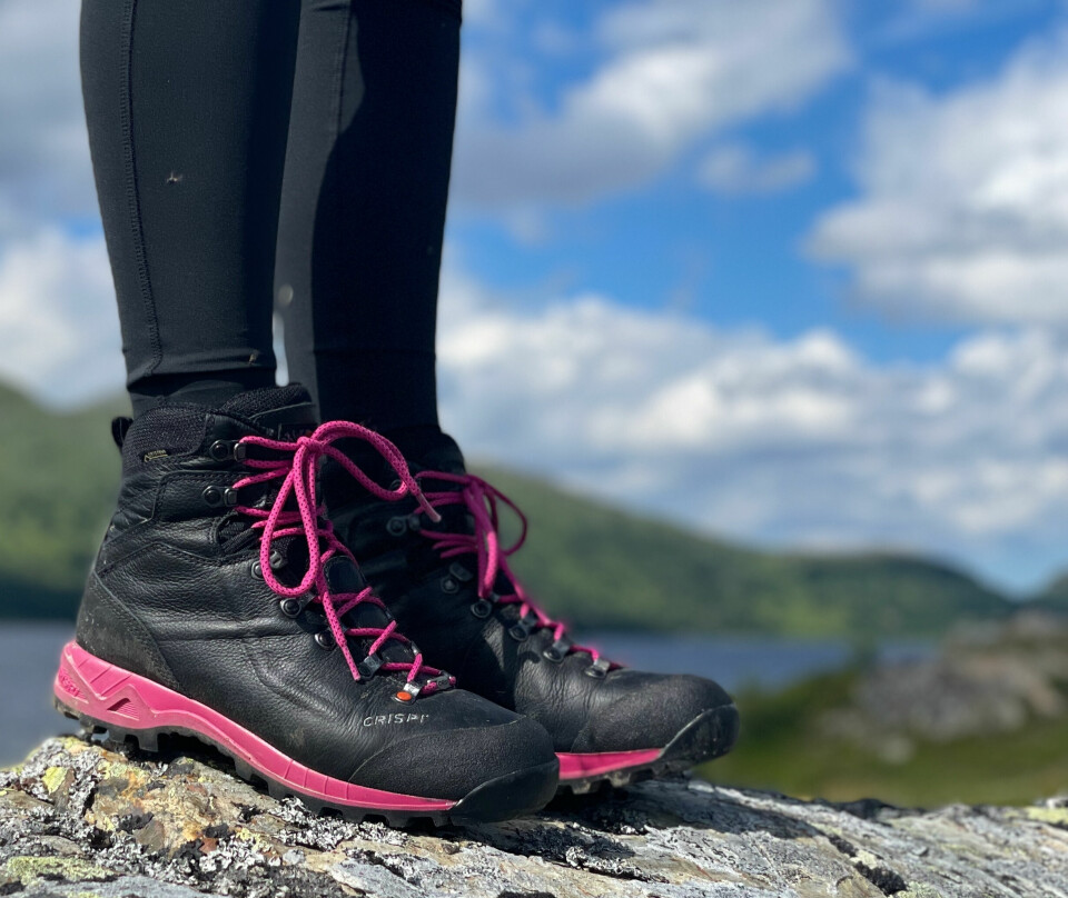 VARIASJONER: «Fjellsko» kommer i mange ulike utforminger. Uavhengig av bruk er et godt tips å prøve skoene med gode sokker slik at du finner et par som passer deg og din fot.