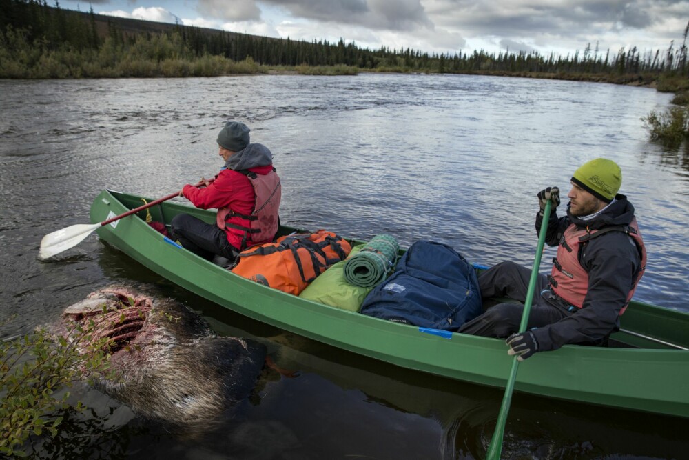 <b>STARTEN PÅ SLUTTEN:</b> Fra padleturen i Alaska da en muskelsene røk. Roy Erling foran og Roy Morten Bjørk bak i kanoen.