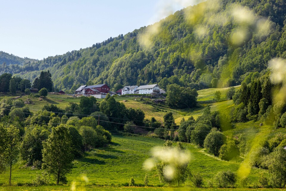 HISTORISK: Ein gard med lang og blodig historie. På garden Hauge på Vossestrand har det budd folk i meir enn 700 år.