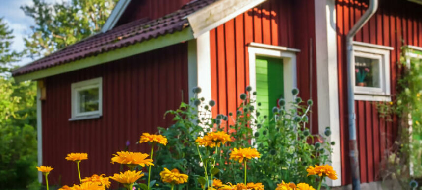 Vi ønsker å bygge på hytte på festetomt. Hvilke rettigheter har vi?