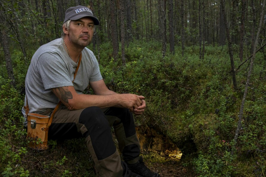 BJØRNEHIET: Ved Gjøkåsen i Pasvik ligger et gammelt bjørnehi som ikke lengre er i bruk. Bamse er stor, men inngangen til hiet er ikke alltid det, konstaterer Ben Arne Sotkajærvi.