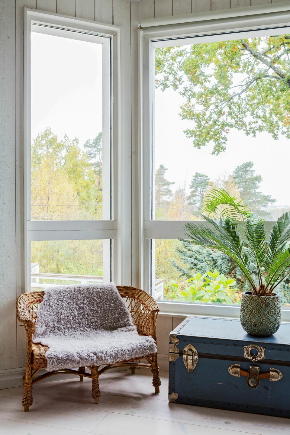 LYSINNFALL: Karnappvinduet slipper inn mye lys og har ikke blitt fylt opp med møbler og ting. Rottingsofaen med lammeskinn fra Ikea og en koffert funnet på loppemarked er sjarmerende detaljer som drar blikkene til seg. Blomsterpotte fra Blomsterlandet.