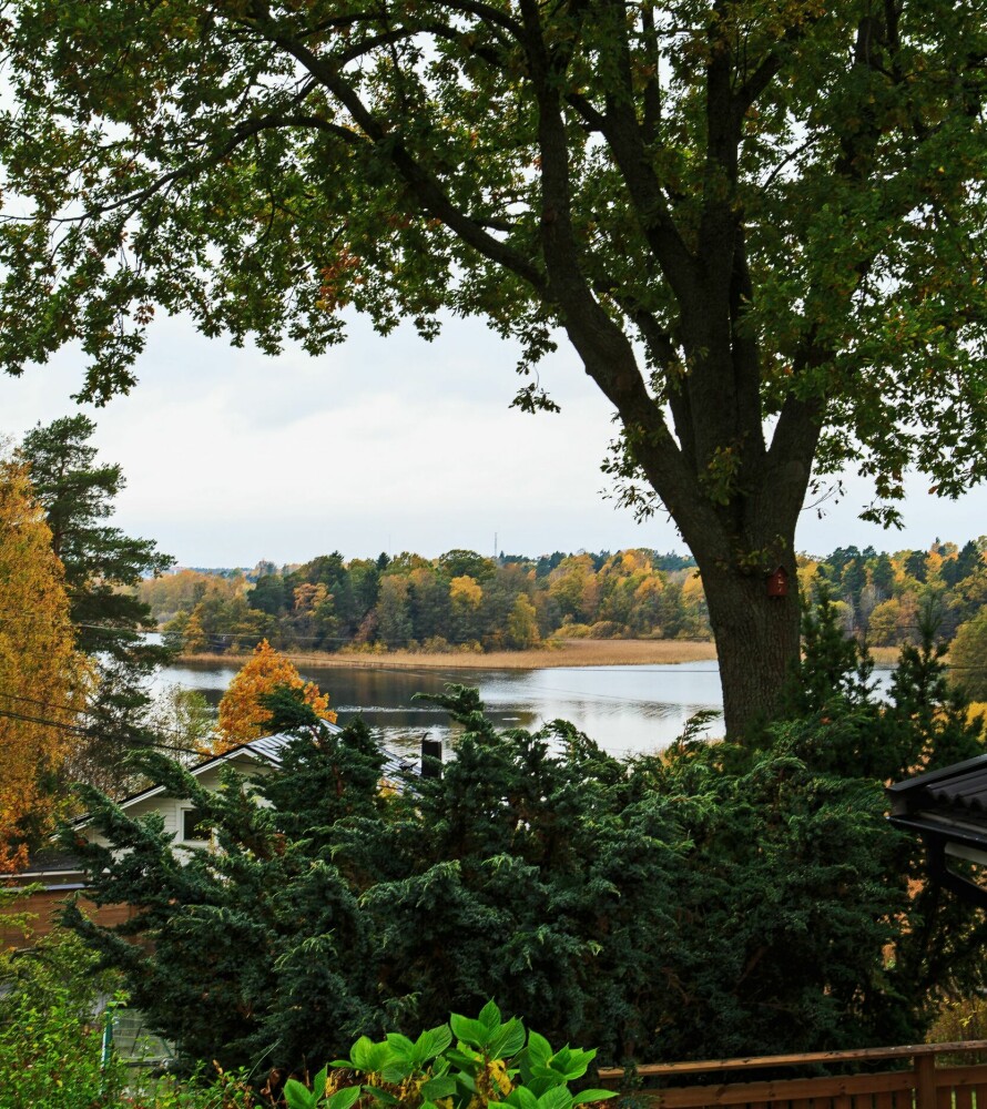 NYDELIG: Huset ligger fantastisk til med utsikt over innsjøen Drevviken.