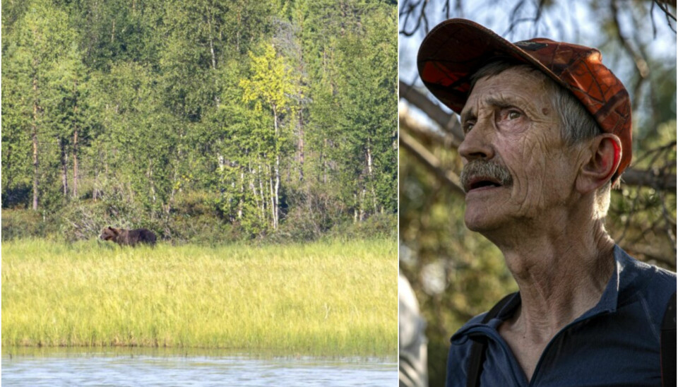 BJØRNEJEGER: Hermann Sotkajærvi er Norges mest erfarne bjørnejeger. Han mener bjørnen er like lite farlig som favorittvåpenet hans.