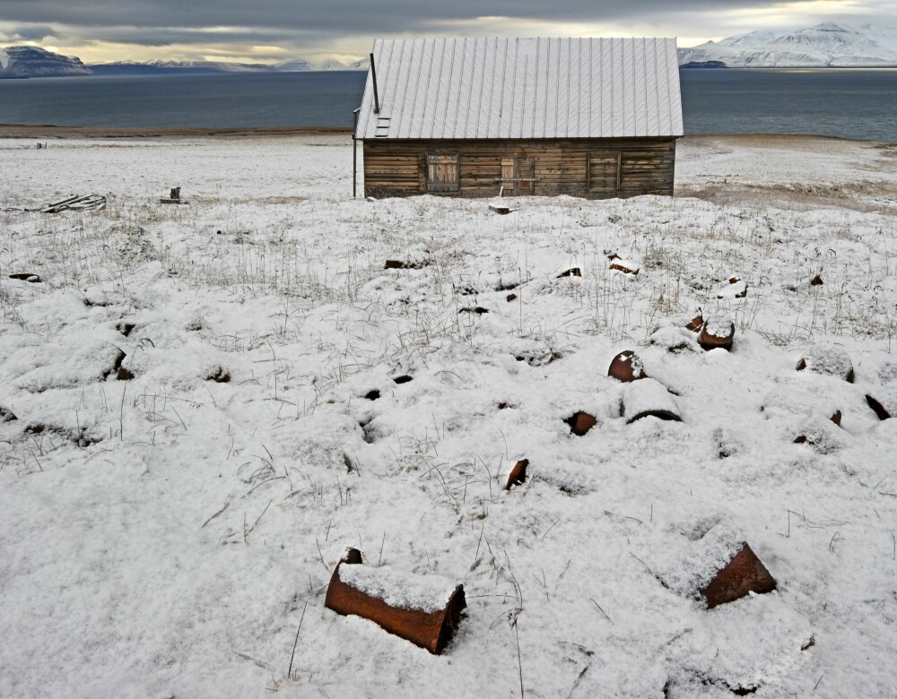 <b>AVSLØRENDE DYNGE:</b> Bak Svenskehuset på Svalbard ligger fortsatt søppel − og spor etter tragedien som tok livet av 17 mann vinteren for 150 år siden; Hermetikkbokser fulle av dødelig bly.