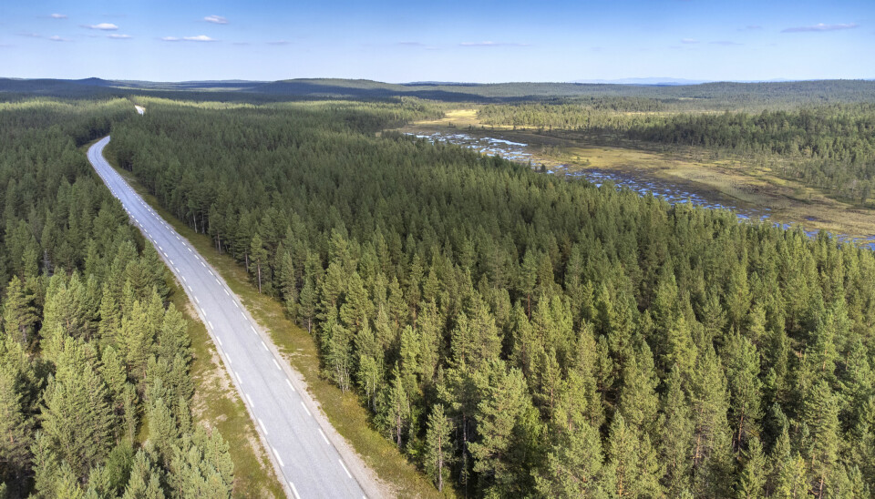 HULL PÅ HULL LANGS GRENSEN: Fylkesvei 8850 strekker seg vakkert gjennom Pasvikdalen. Men veien er den eneste muligheten beboerne har for å komme seg til omverdenen.