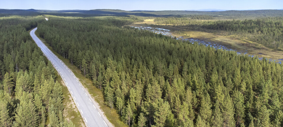 Ben Are forsvarer Norge − men én ting gjør ham og naboene rasende