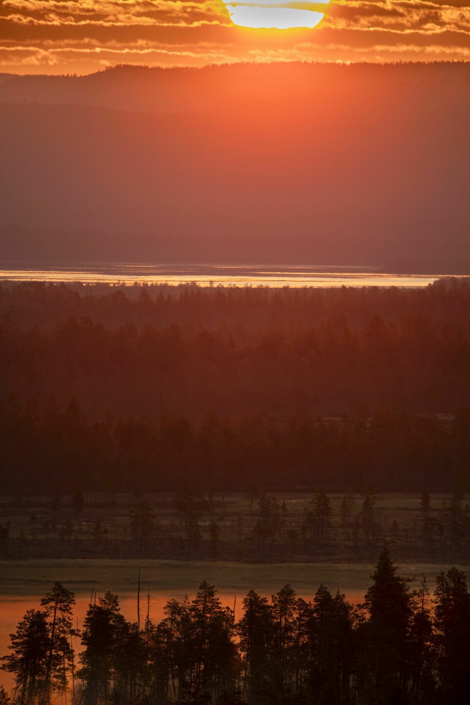I ØSTEN STIGER SOLEN: Det kryr ikke av folk i Pasvik, og naturen er nærmest uberørt. Her står sola opp over en myr – og Russland ses i det fjerne.