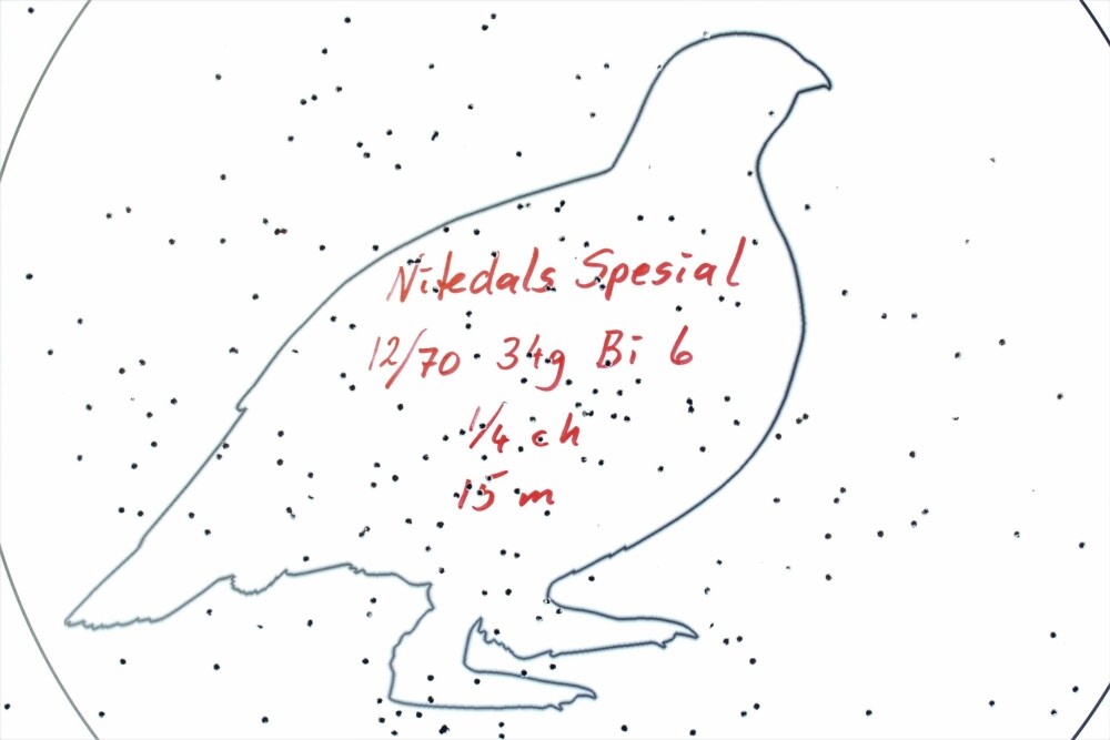 <b>KJØTTDEIG?:</b> Heilt klart upraktisk mange hagltreff i fuglen på 15 meter med kvart trangboring!