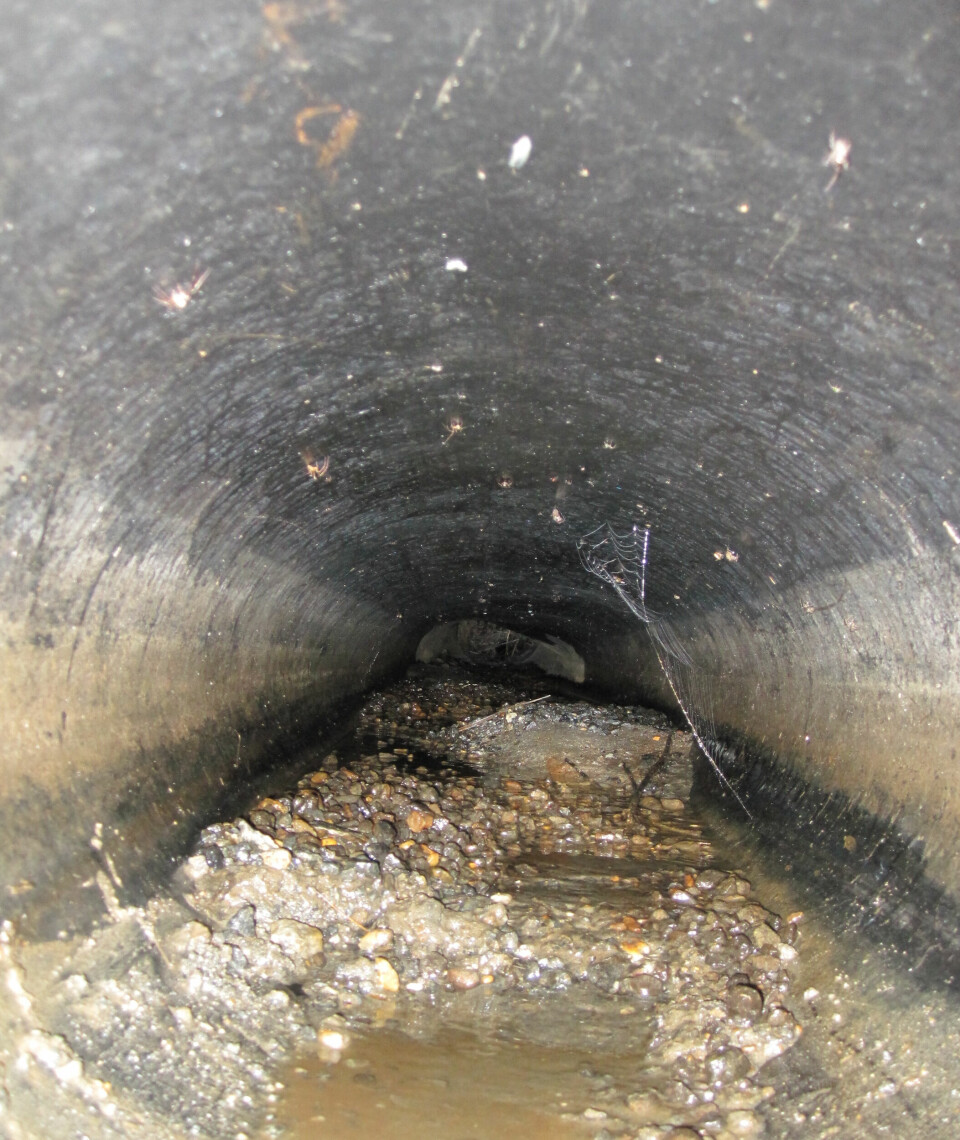 DEFORMERT: Dette stikkrennerøret er deformert og halvfullt av sandmasser, og har ført til oversvømmelse av veien. Røret måtte skiftes helt ut.