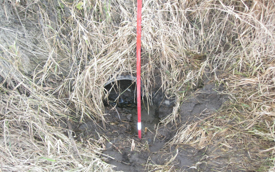 MÅ RYDDES: Grøftekantene bør være dype og fri for sand og jordmasser, slik at vannet lett kan renne vekk. Her trengs det en ryddejobb.