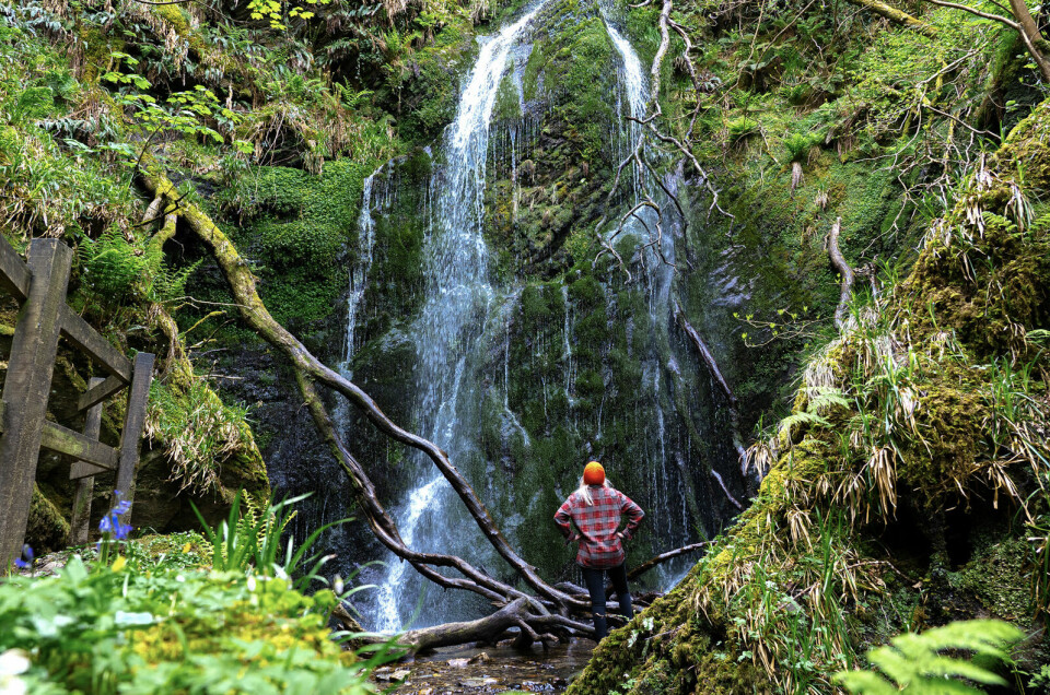 FRODIG: Man er overraskende frodig. Er du heldig med været, er det lett å forestille seg Karibia og øyer sør i Europa.