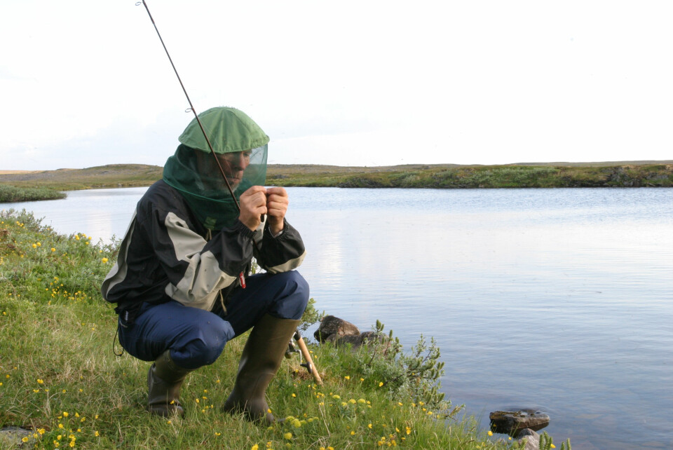 I VANN: Der langgrunn bunn går brattere ned mot dypet. Over og i kanten av grunner. I områder der vannet smalner, særlig hvis det er noe strøm. Nær små øyer og steiner som stikker opp. I ly av overhengende trær og under veltede trær eller stammer i vannet. Ved utos og et stykke ned i elva om den har nok vannføring. Ved innos og utover vannet i strømmen derfra. Særlig om natta også et stykke opp i elva. I elv: Nær og særlig i strømmøtet bak steiner. Der strøm fra to bekker/elver møtes. Innunder torvkanter med litt dypt vann. Der stryk går over i mer sakterennende vann. I dype høler nede mot bunnen.