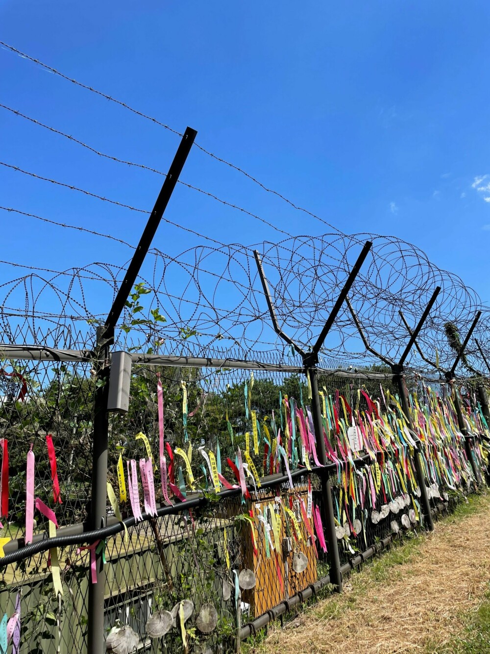 <b>MINNES:</b> Mange koreanere kommer til DMZ for å minnes sine slektninger i nord og henger opp silkebånd som symboler for håp.
