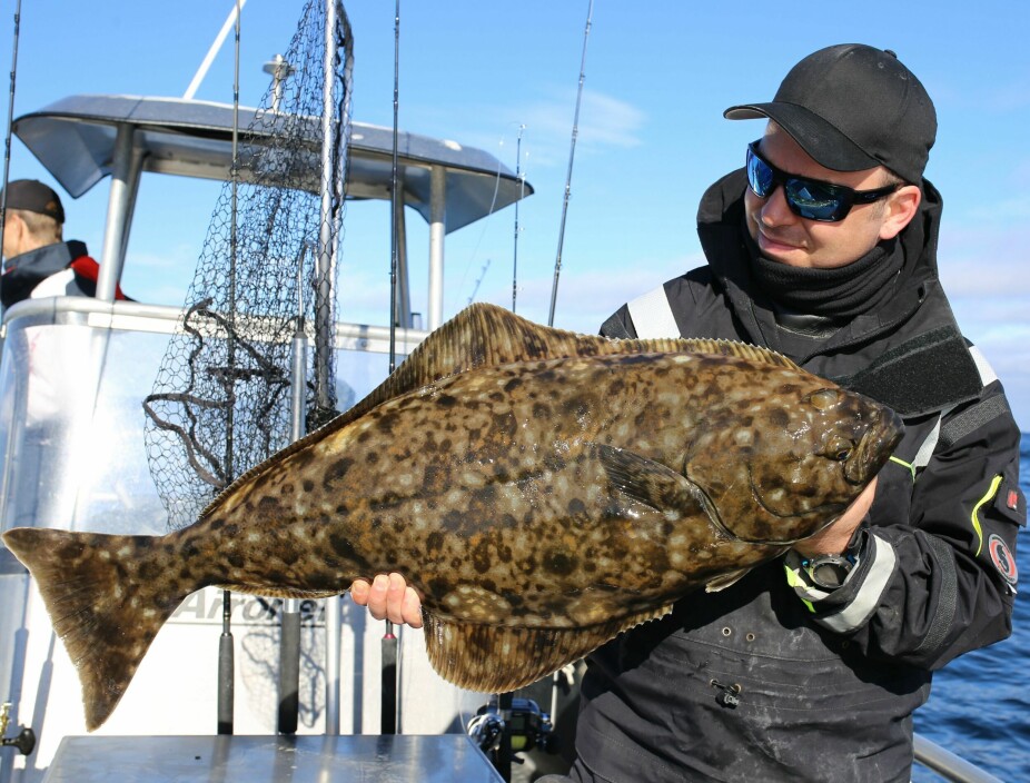 <b>MIN­STE­MÅL:</b> Skal du ta opp en mat­fisk må den måle over 80 cen­ti­me­ter. (Foto: Andreas Næristorp)