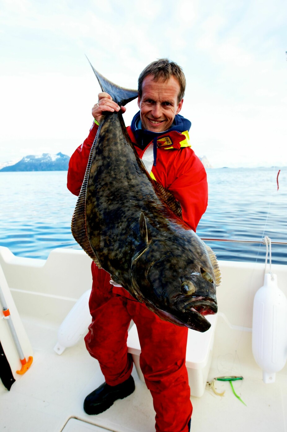 <b>AT­LAN­TISK KVEI­TE: </b>Det er drømmefisken for mange, og kan bli over 300 kilo. Norgesrekorden er på 233,5 kilo på stang, fisket av Mar­co Liebenow i Lak­se­fjord, 4. juli 2013.