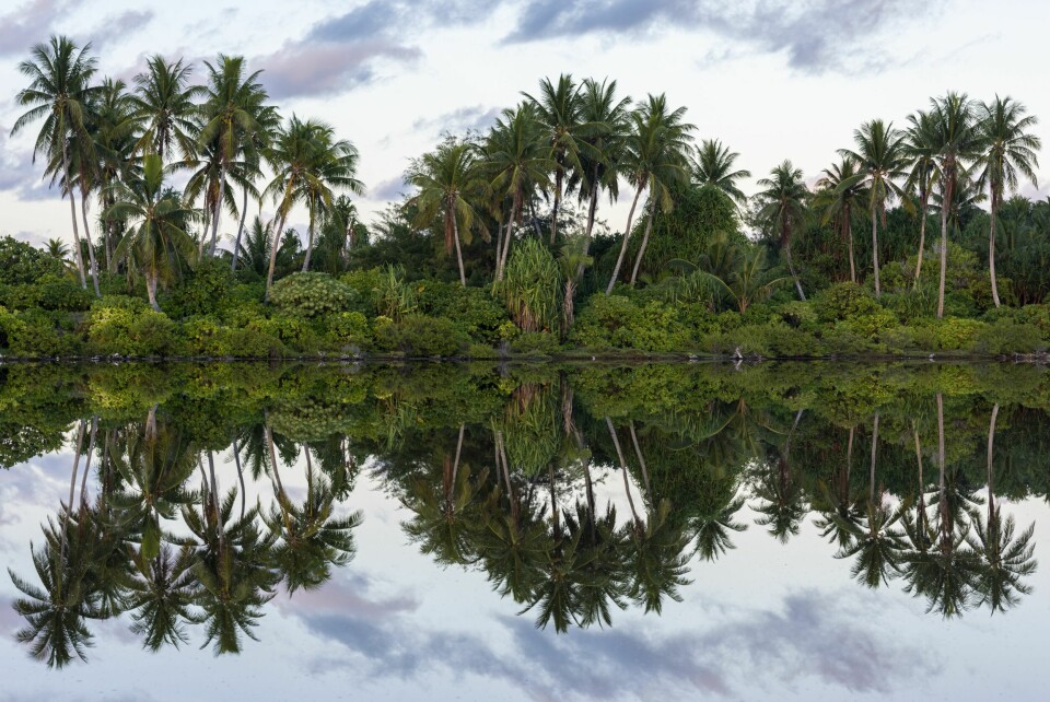 JUNGELIDYLL: På øyene i Nord-Tarawa er livet mer tradisjonelt og infrastrukturen dårligere. Men idyllen er helt åpenbar.