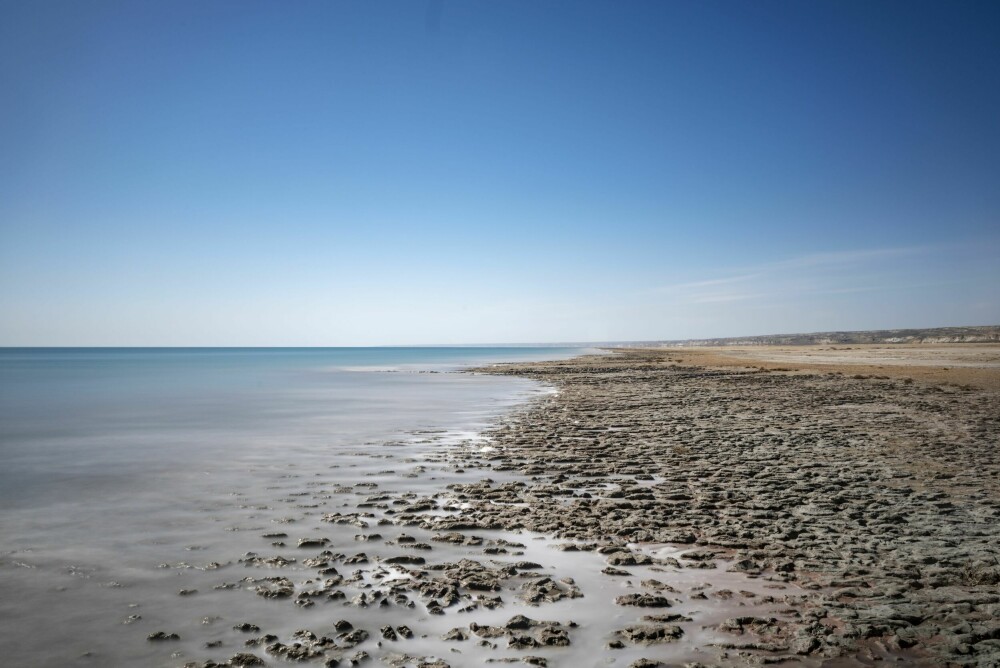 <b>GJØRMEBREDDEN:</b> Aralsjøens bredd i 2019 – vannet er gjørmete og saltkonsentrasjonen høy.