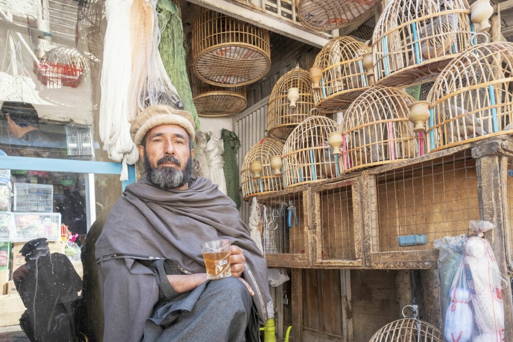<b>FUGLEHANDLEREN:</b> Mohammed selger fugler i Ka Forhis bird-marked i Kabuls gamleby. Ingen ting er som en god kopp te og litt fuglekvitter.