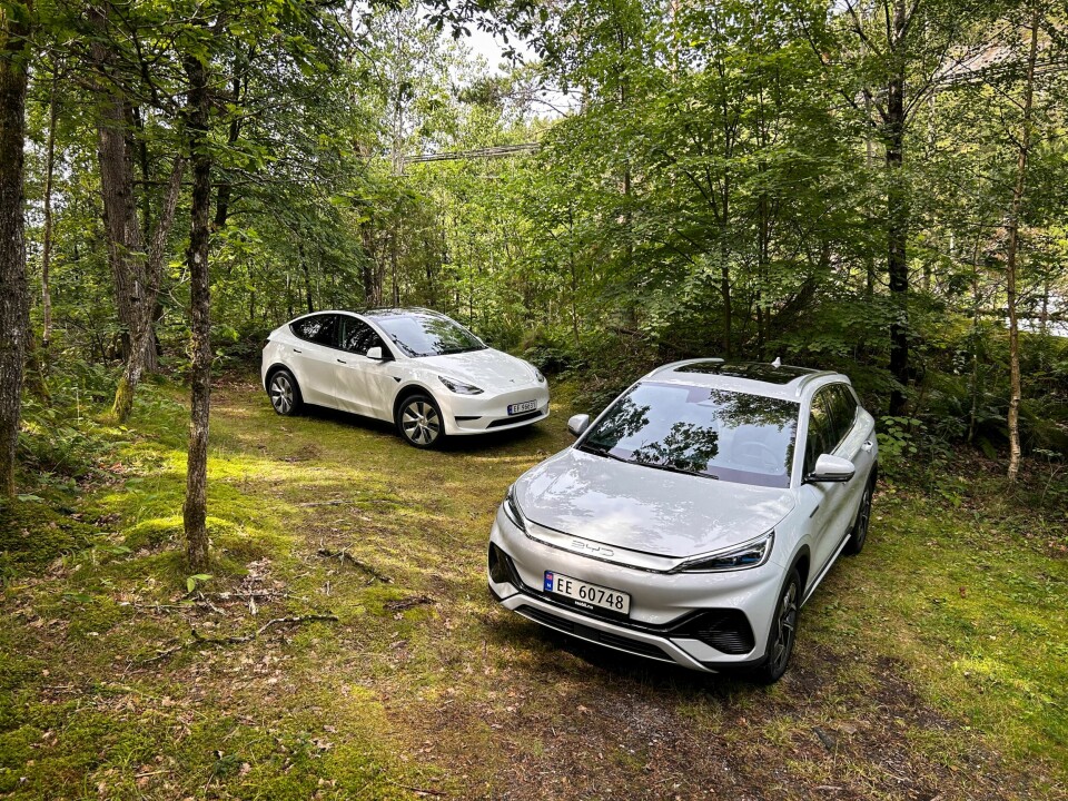 UTFORDRES: Tesla Model Y (bak) er merkets bestselger, men BYD med Atto 3 i spissen spiser seg innpå Tesla i det globale elbilsalget. Men i Norge dominerer Model Y stort.
