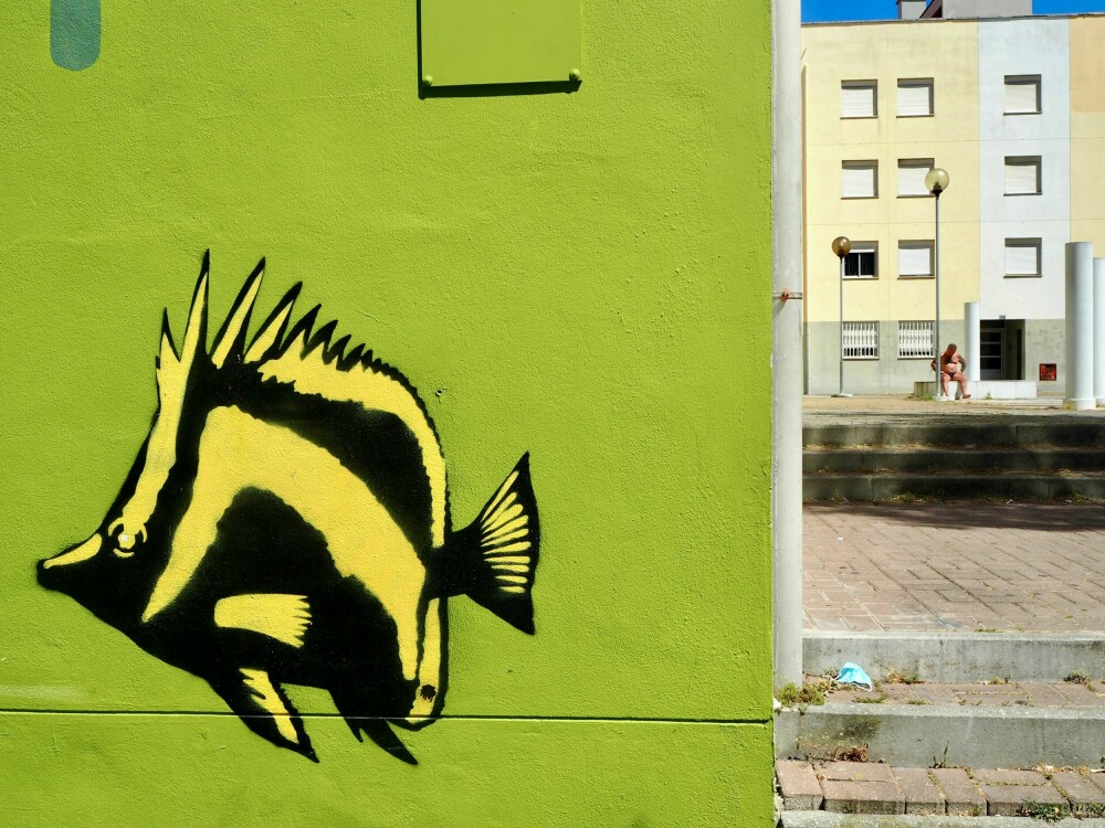 <b>FISK PÅ LAND:</b> I Marvila, øst i Lisboa, finner du en rekke kunstverk på boligblokkene. Området ble dekorert under MURO LX Urban Art Festival i 2017, byens største og viktigste gatekunstprosjekt som finner sted annethvert år.