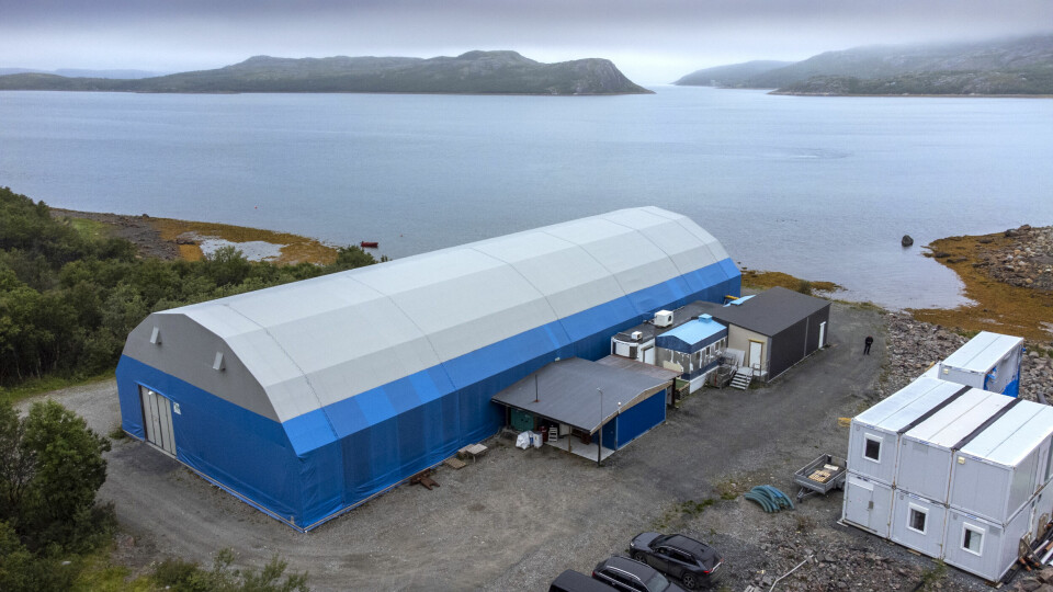 RØMNINGSSIKKERT: Den fisken som klarer å rømme fra Finnmarksrøyas teltanlegg og ut i fjorden, må ha overnaturlige evner, vinger eller ekstrem spenst.