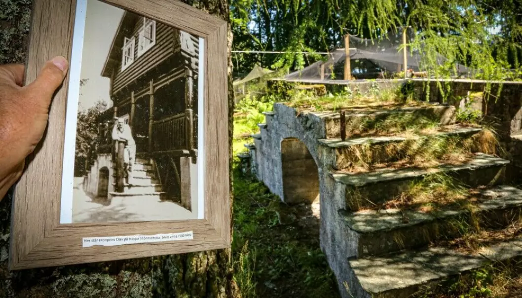 <b>KONGELIG: </b>På bildet fra 1930-tallet poserer kronprins Olav på den karakteristiske trappen på Solstråleøya. Trappen står der fortsatt, mens prinsehytta er flyttet. Nå gjør den gamle grunnmuren nytte som hønsegård under nettingen.