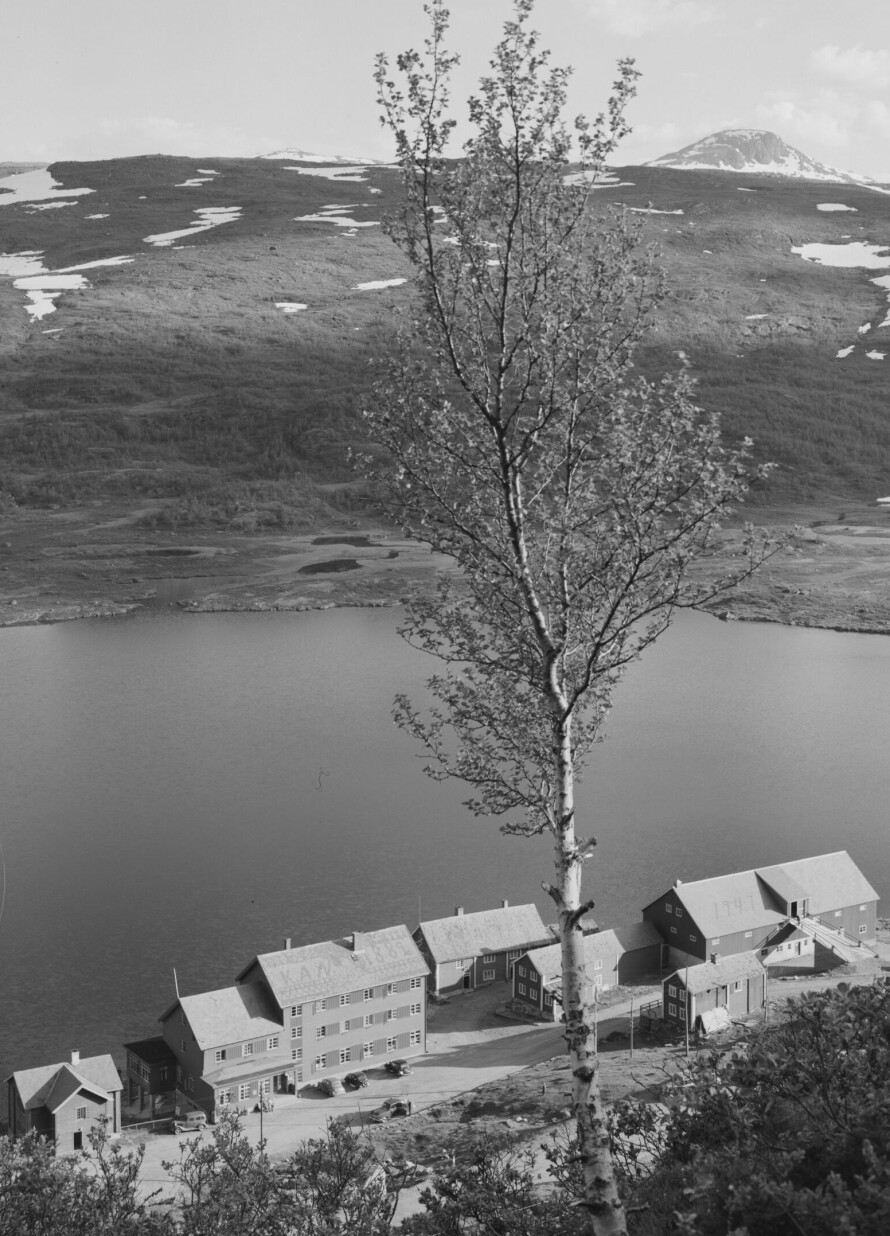 NYSTUEN: Storstue på høyfjellet ved Otrovatnet. Bildet er fra før brannen i 1958.