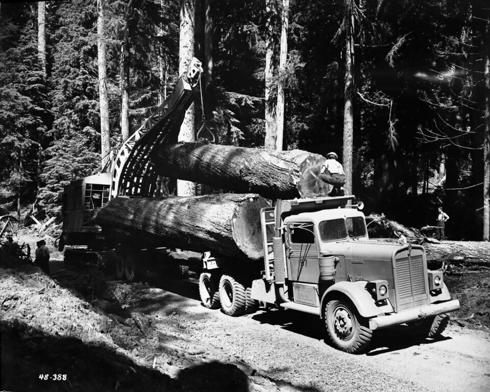 NEEDLE NOSE: I 1939 ble Kenworth 500-serien lansert, som fort fikk tilnavnet «Needle Nose» (nålenese) på grunn av det lange og smale panseret.