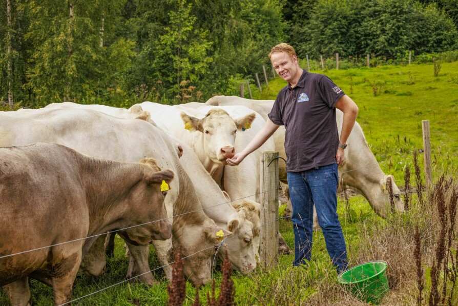 <b>DELT OPPLEVELSE:</b> Roger Paulsens Charolais-kyr har det godt i Skogbygda nordøst for Oslo. Men moderne gårdsdrift truer med å knekke bonden.