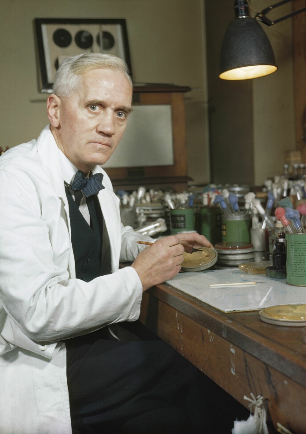 <b>DÅRLIG TIL Å RYDDE:</b> Alexander Fleming lot bakterieskålene sine stå over sommerferien, og gjorde legevitenskapens viktigste oppdagelse.