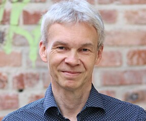 EKSPERTEN: Frode Grindahl er fagdirektør i , Direktoratet for byggkvalitet.