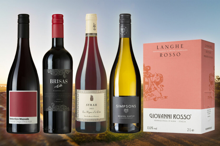 NYE VINER: Dette er de beste vinkjøpene blant Vinmonopolets nyheter i januar, ifølge vinanmelder Arnie Stalheim.