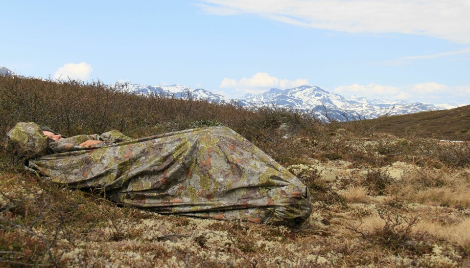 JERVEN FJELLDUKEN HUNTER MOUNTAIN: Om du er villig til å investere litt mer når du skal gå til innkjøp av fjellduk, er Jerven-modellen et solid alternativ.