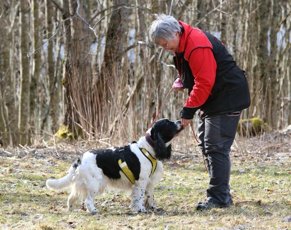 <b>EN HUNDEVENN:</b> Inger har drevet med hund helt siden hun fikk diagnosen for 25 år siden. På grunn av hundene har hun klart å holde seg i gang og har fortsatt en aktiv livsstil.